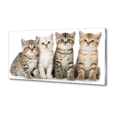 Panel para cocina Pequeños gatos