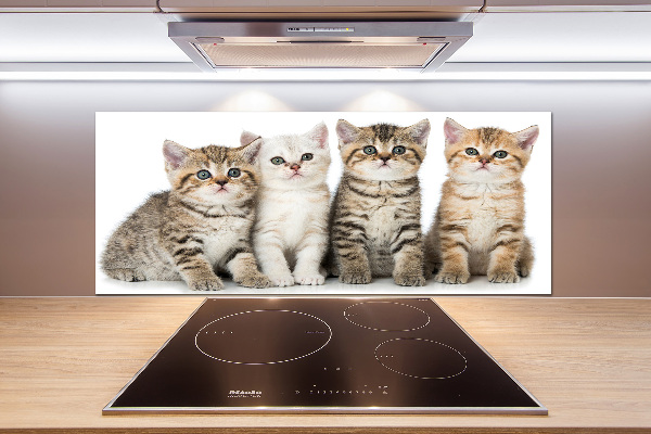 Panel para cocina Pequeños gatos