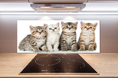 Panel para cocina Pequeños gatos