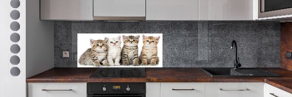 Panel para cocina Pequeños gatos