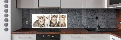 Panel para cocina Pequeños gatos