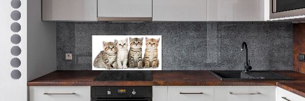 Panel para cocina Pequeños gatos