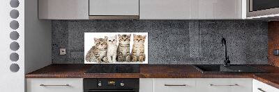 Panel para cocina Pequeños gatos