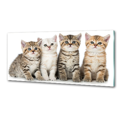 Panel para cocina Pequeños gatos