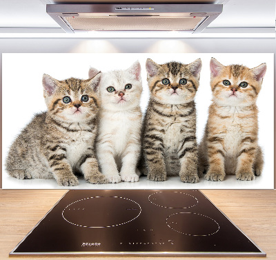 Panel para cocina Pequeños gatos