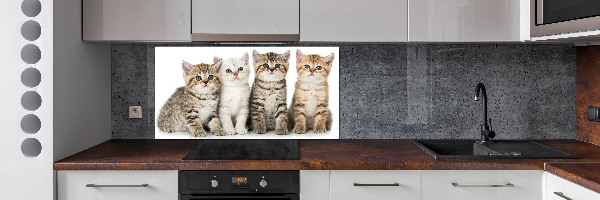 Panel para cocina Pequeños gatos