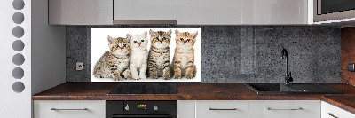 Panel para cocina Pequeños gatos