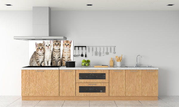 Panel para cocina Pequeños gatos