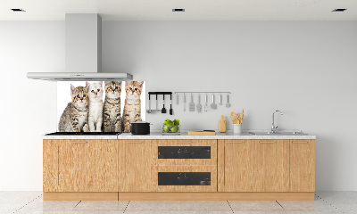Panel para cocina Pequeños gatos