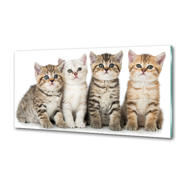 Panel para cocina Pequeños gatos