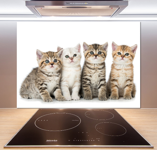 Panel para cocina Pequeños gatos