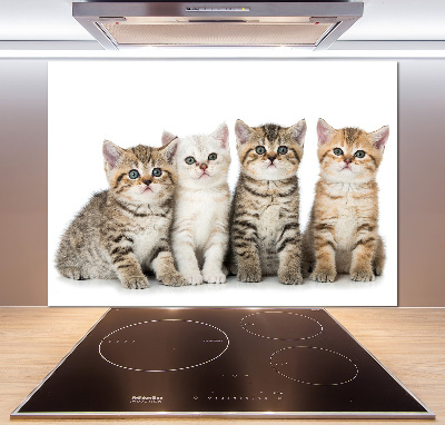 Panel para cocina Pequeños gatos