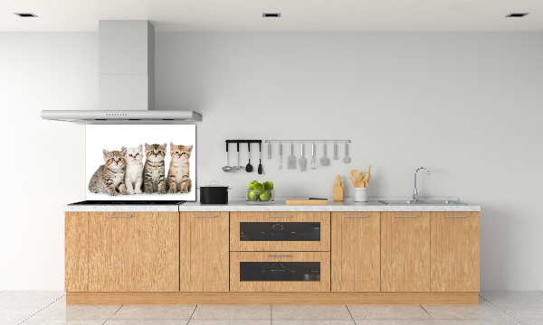 Panel para cocina Pequeños gatos