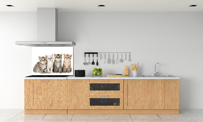 Panel para cocina Pequeños gatos