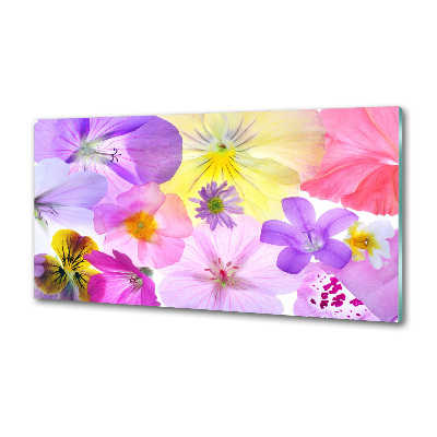 Panel szklany do kuchni Bratki