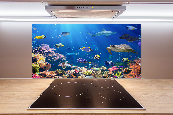 Salpicadero para cocina Arrecife de coral