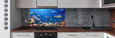 Salpicadero para cocina Arrecife de coral