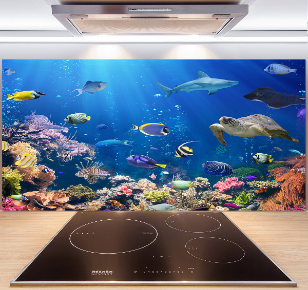 Panel do kuchni Rafa koralowa