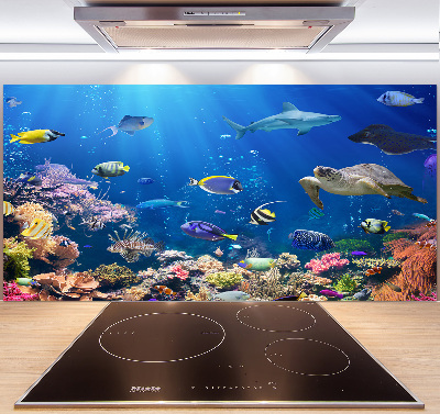 Salpicadero para cocina Arrecife de coral