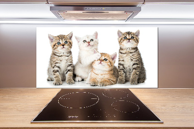 Panel de pared de cocina Pequeños gatos