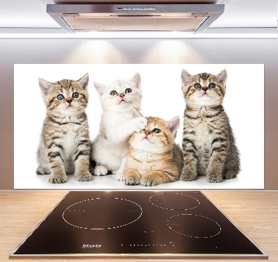 Panel de pared de cocina Pequeños gatos