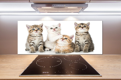 Panel de pared de cocina Pequeños gatos