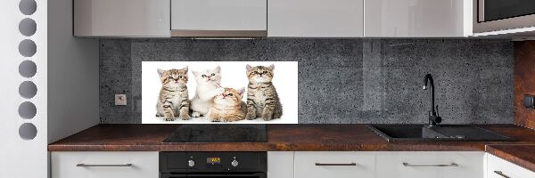 Panel de pared de cocina Pequeños gatos