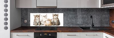 Panel de pared de cocina Pequeños gatos