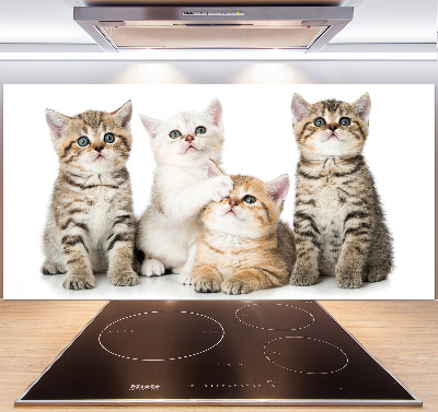 Panel de pared de cocina Pequeños gatos
