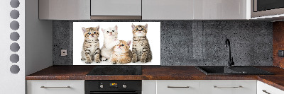 Panel de pared de cocina Pequeños gatos