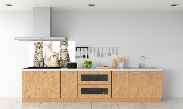 Panel de pared de cocina Pequeños gatos