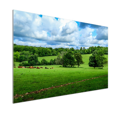 Panel do kuchni Zielone wzgórza