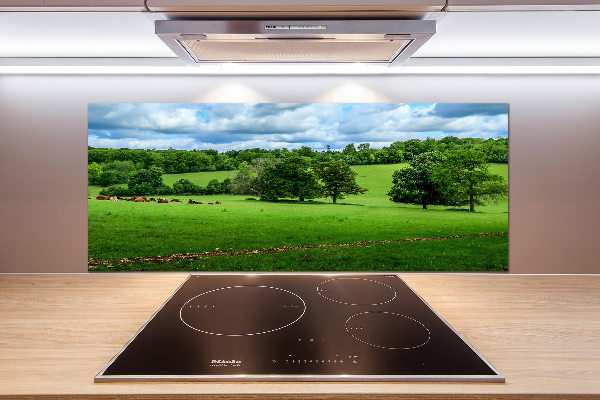 Panel do kuchni Zielone wzgórza