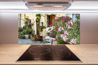 Panel antisalpicaduras Calles de Francia