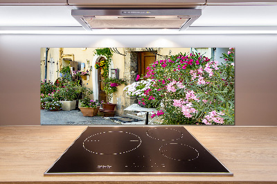 Panel antisalpicaduras Calles de Francia