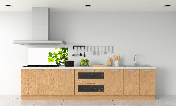 Panel para cocina Hojas