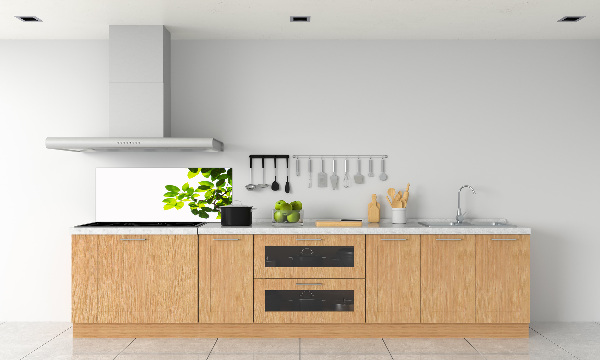 Panel para cocina Hojas