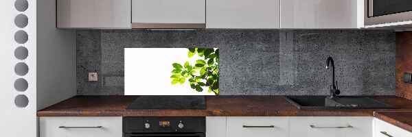 Panel para cocina Hojas