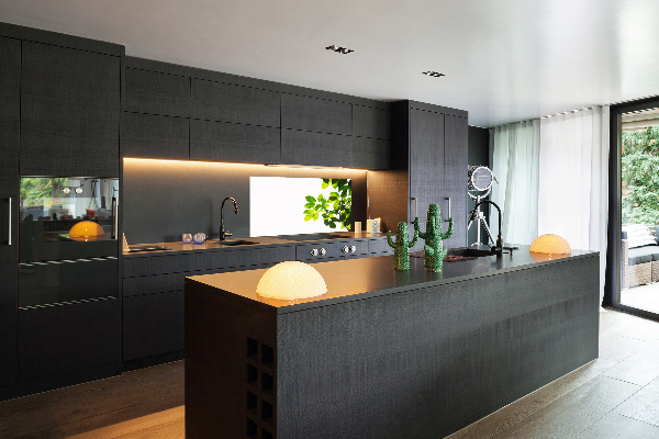 Panel para cocina Hojas