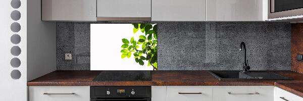 Panel para cocina Hojas