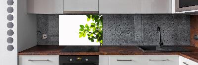 Panel para cocina Hojas