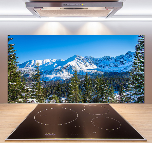 Panel do kuchni Panorama Tatr