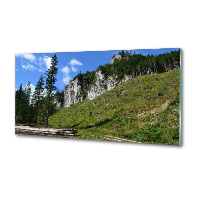 Salpicadero de cocina picos rocosos