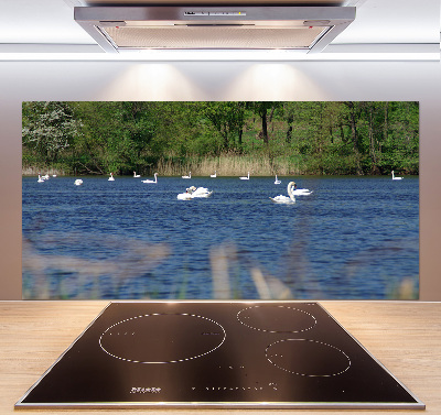 Panel para cocina cisnes blancos