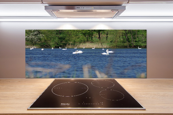 Panel para cocina cisnes blancos