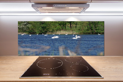 Panel para cocina cisnes blancos