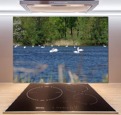 Panel para cocina cisnes blancos