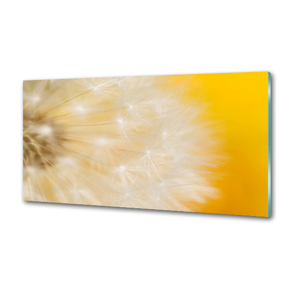 Panel dekor szkło Dmuchawiec