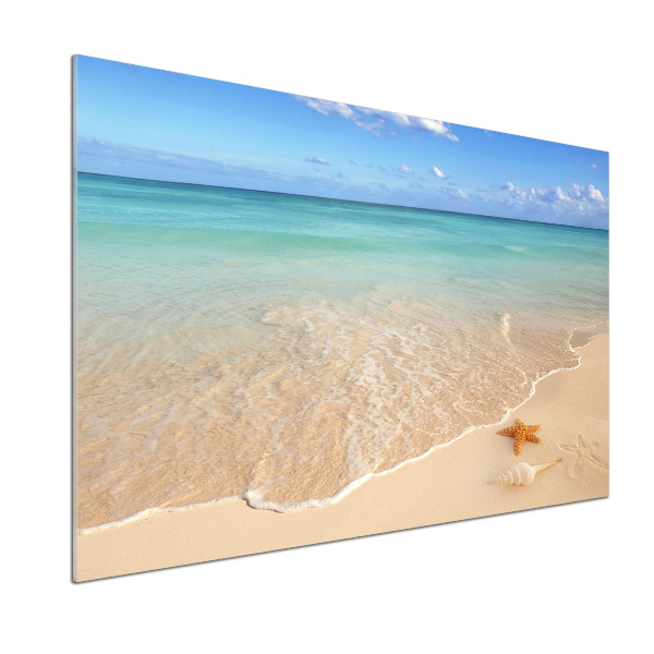 Panel para cocina Estrellas de mar en la playa