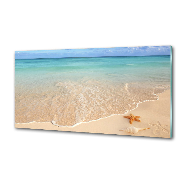 Panel para cocina Estrellas de mar en la playa